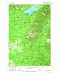 1955 Map of Amanda Park, WA, 1966 Print
