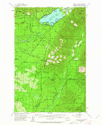 1955 Map of Amanda Park, WA, 1963 Print