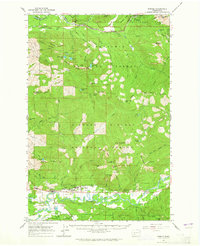Download a high-resolution, GPS-compatible USGS topo map for Randle, WA (1964 edition)