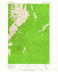 Download a high-resolution, GPS-compatible USGS topo map for Ryderwood, WA (1963 edition)