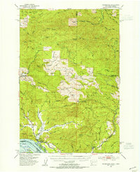 Download a high-resolution, GPS-compatible USGS topo map for Skamokawa, WA (1955 edition)