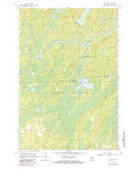 Download a high-resolution, GPS-compatible USGS topo map for Alvin SW, WI (1984 edition)