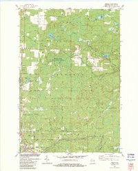 Download a high-resolution, GPS-compatible USGS topo map for Amberg, WI (1983 edition)