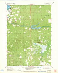 Download a high-resolution, GPS-compatible USGS topo map for Arkdale NE, WI (1969 edition)