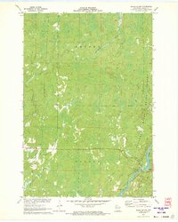 preview thumbnail of historical topo map of Sawyer County, WI in 1971