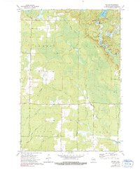 Download a high-resolution, GPS-compatible USGS topo map for Bavaria, WI (1991 edition)