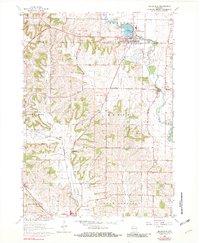 Download a high-resolution, GPS-compatible USGS topo map for Belleville, WI (1982 edition)