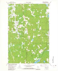 Download a high-resolution, GPS-compatible USGS topo map for Bennett, WI (1982 edition)