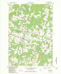 Download a high-resolution, GPS-compatible USGS topo map for Birnamwood, WI (1982 edition)