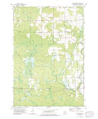 Download a high-resolution, GPS-compatible USGS topo map for Black Brook, WI (1976 edition)