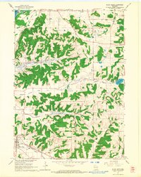 Download a high-resolution, GPS-compatible USGS topo map for Black Earth, WI (1964 edition)