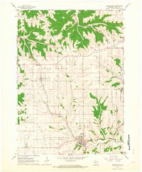Download a high-resolution, GPS-compatible USGS topo map for Bloomington, WI (1964 edition)