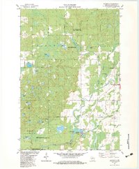 Download a high-resolution, GPS-compatible USGS topo map for Bloomville, WI (1983 edition)