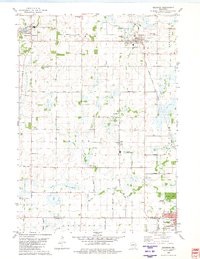 Download a high-resolution, GPS-compatible USGS topo map for Brandon, WI (1981 edition)