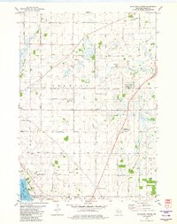 Download a high-resolution, GPS-compatible USGS topo map for Buckhorn Corner, WI (1981 edition)