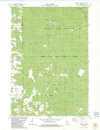 Download a high-resolution, GPS-compatible USGS topo map for Burney%20Lake, WI (1983 edition)