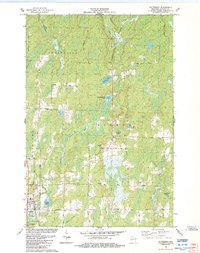 preview thumbnail of historical topo map of Butternut, WI in 1984
