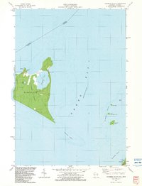 Download a high-resolution, GPS-compatible USGS topo map for Chambers%20Island, WI (1983 edition)