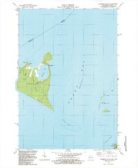 Download a high-resolution, GPS-compatible USGS topo map for Chambers Island, WI (1984 edition)