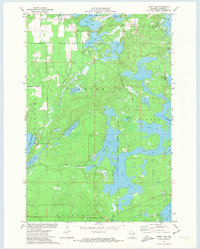 Download a high-resolution, GPS-compatible USGS topo map for Chief Lake, WI (1973 edition)