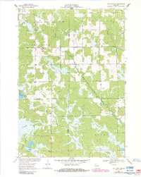 Download a high-resolution, GPS-compatible USGS topo map for City Point NE, WI (1985 edition)