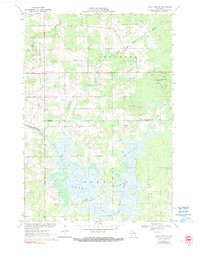 Download a high-resolution, GPS-compatible USGS topo map for Dewey Marsh, WI (1990 edition)