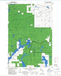 Download a high-resolution, GPS-compatible USGS topo map for Diamond Lake, WI (1985 edition)
