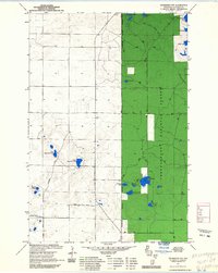 Download a high-resolution, GPS-compatible USGS topo map for Drummond NW, WI (1985 edition)