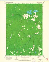 Download a high-resolution, GPS-compatible USGS topo map for Florence SW, WI (1964 edition)