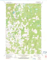 Download a high-resolution, GPS-compatible USGS topo map for Gleason, WI (1991 edition)