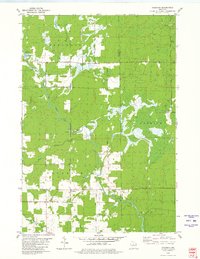 preview thumbnail of historical topo map of Taylor County, WI in 1980