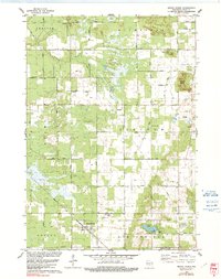 Download a high-resolution, GPS-compatible USGS topo map for Grand Marsh, WI (1991 edition)