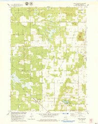 Download a high-resolution, GPS-compatible USGS topo map for Grand Marsh, WI (1979 edition)