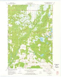 preview thumbnail of historical topo map of Oconto County, WI in 1973