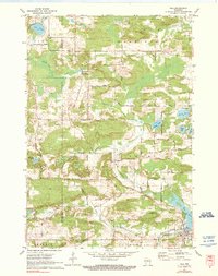 Download a high-resolution, GPS-compatible USGS topo map for Iola, WI (1990 edition)
