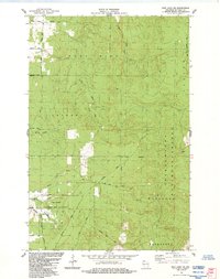 Download a high-resolution, GPS-compatible USGS topo map for Iron%20Lake%20NE, WI (1984 edition)