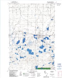 Download a high-resolution, GPS-compatible USGS topo map for Iron Lake, WI (1992 edition)