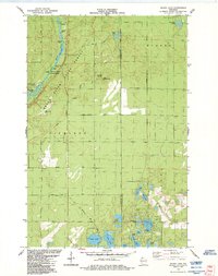 Download a high-resolution, GPS-compatible USGS topo map for Island Lake, WI (1984 edition)