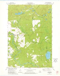Download a high-resolution, GPS-compatible USGS topo map for Langlade, WI (1977 edition)