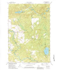 Download a high-resolution, GPS-compatible USGS topo map for Langlade, WI (1984 edition)