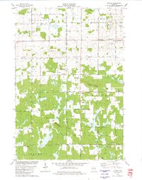 Download a high-resolution, GPS-compatible USGS topo map for Lindsey, WI (1980 edition)