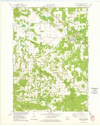 Download a high-resolution, GPS-compatible USGS topo map for Lyndon Station, WI (1978 edition)