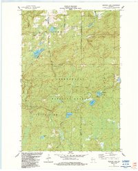 Download a high-resolution, GPS-compatible USGS topo map for Marengo Lake, WI (1984 edition)