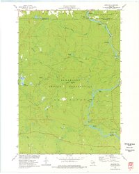 preview thumbnail of historical topo map of Menominee County, WI in 1973