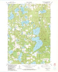 Download a high-resolution, GPS-compatible USGS topo map for Mc Kenzie Lake, WI (1983 edition)