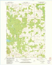 Download a high-resolution, GPS-compatible USGS topo map for Mead Lake East, WI (1982 edition)