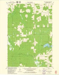 Download a high-resolution, GPS-compatible USGS topo map for Mead Lake West, WI (1980 edition)