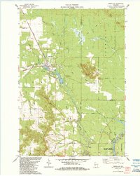Download a high-resolution, GPS-compatible USGS topo map for Merrillan, WI (1984 edition)