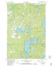 Download a high-resolution, GPS-compatible USGS topo map for Minong%20Flowage, WI (1983 edition)