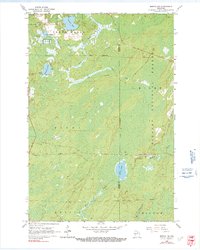 Download a high-resolution, GPS-compatible USGS topo map for Monico NE, WI (1991 edition)